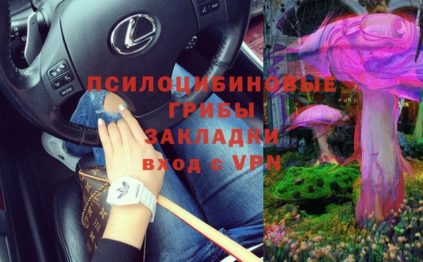 таблы Белокуриха