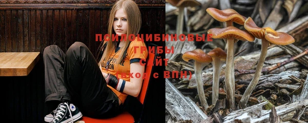 таблы Белокуриха