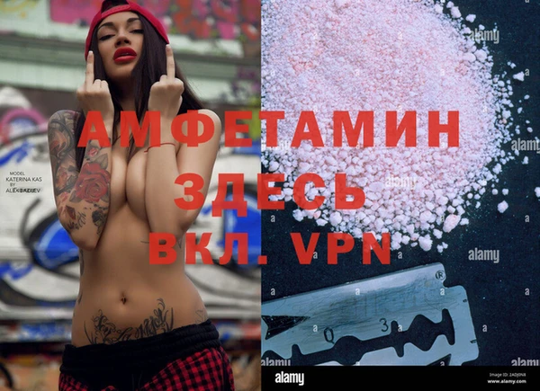 ГАЛЛЮЦИНОГЕННЫЕ ГРИБЫ Богданович