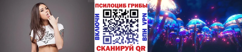 даркнет сайт Малоярославец Псилоцибиновые грибы Psilocybine cubensis